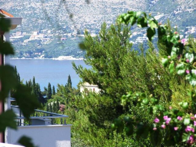 Villa Kipre 2 Cavtat Ngoại thất bức ảnh